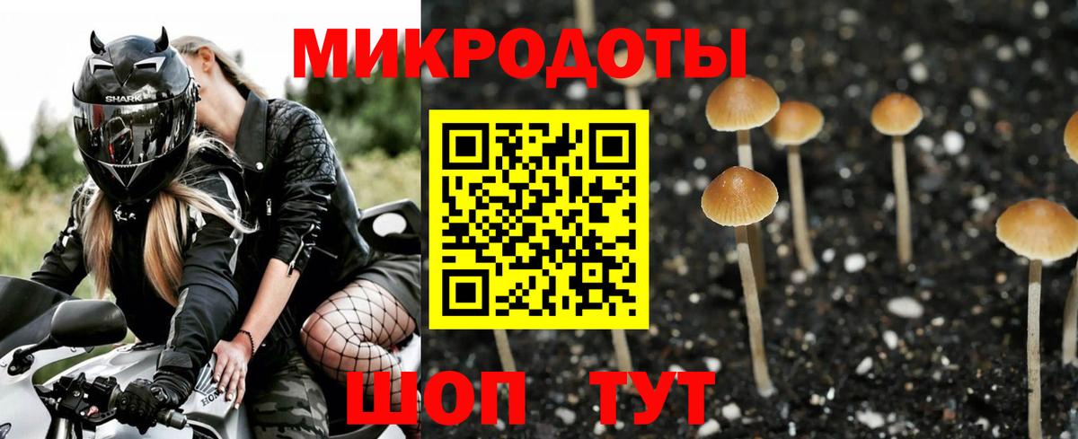 Людиново  Псилоцибиновые грибы GOLDEN TEACHER  Вход с VPN  Псилоцибиновые грибы Psilocybe 